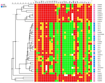 Antibiotic Resistance Profile, Outer Membrane Proteins, Virulence Factors and Genome Sequence Analysis Reveal Clinical Isolates of Enterobacter Are Potential Pathogens Compared to Environmental Isolates